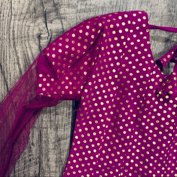 PRINCESS India Dress Up Lined Dress Rhinestones Lace 4T - Picture 14 of 15